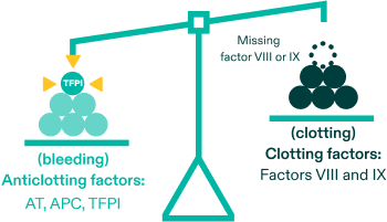 An imbalanced scale leaning towards anticoagulants/bleeding due to a factor VIII or IX deficiency