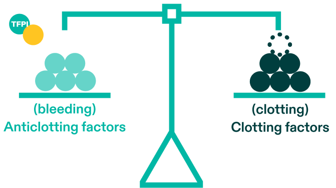 A balanced scale between anticoagulants/bleeding and procoagulants/clotting by inhibiting TFPI