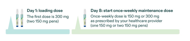 Graphic with text: "Day 1: loading dose. The first dose is 300 mg (two 150 mg pens). Day 8: start once-weekly maintenance dose. Once-weekly dose is 150 mg or 300 mg as prescribed by your healthcare provider (one 150 mg or two 150 mg pens)